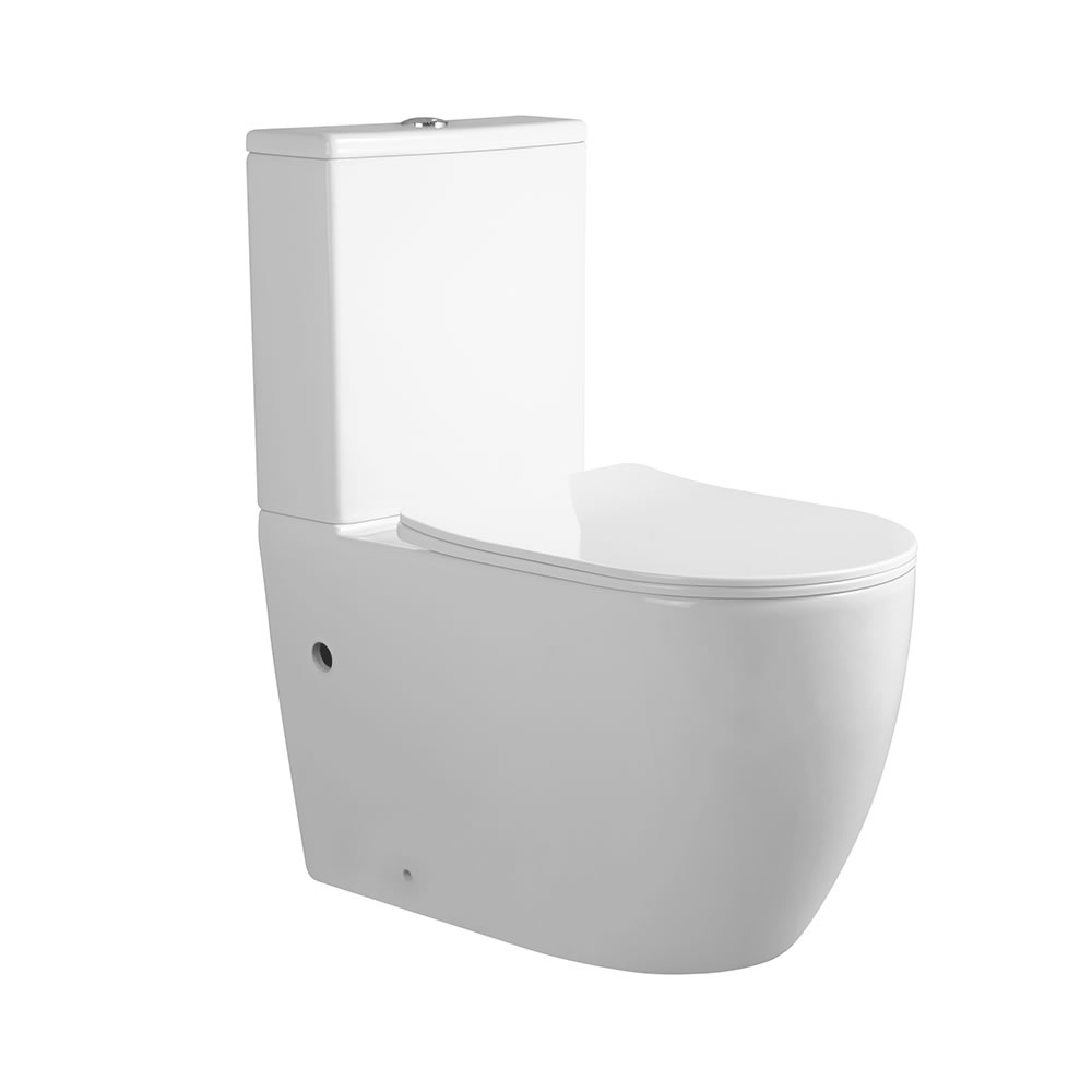 Two Piece Toilet Product Guangdong Leen sanitary ware technology Co